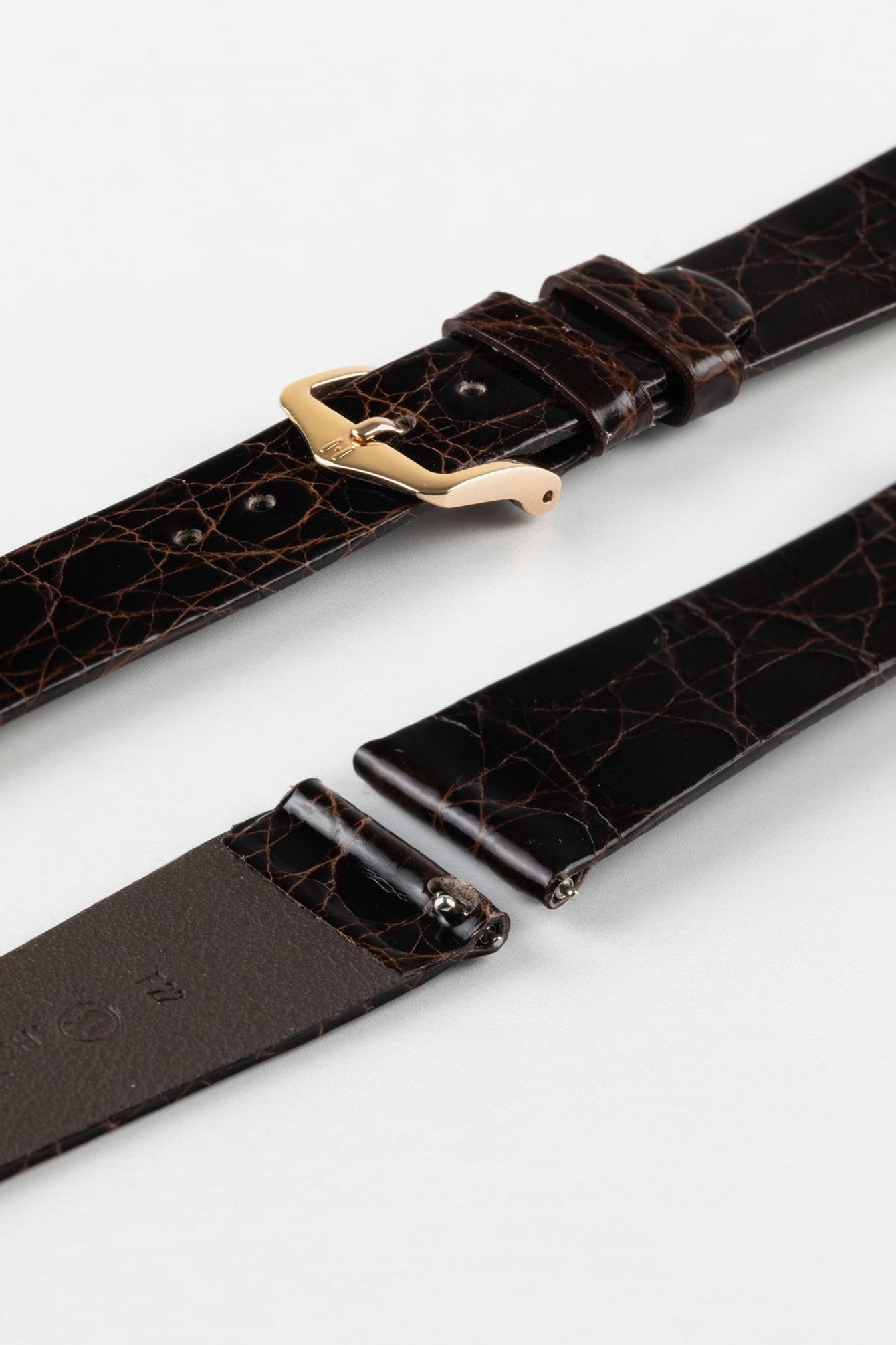 Hirsch PRESTIGE Shiny Genuine Crocodile Leather Watch Strap in BROWN