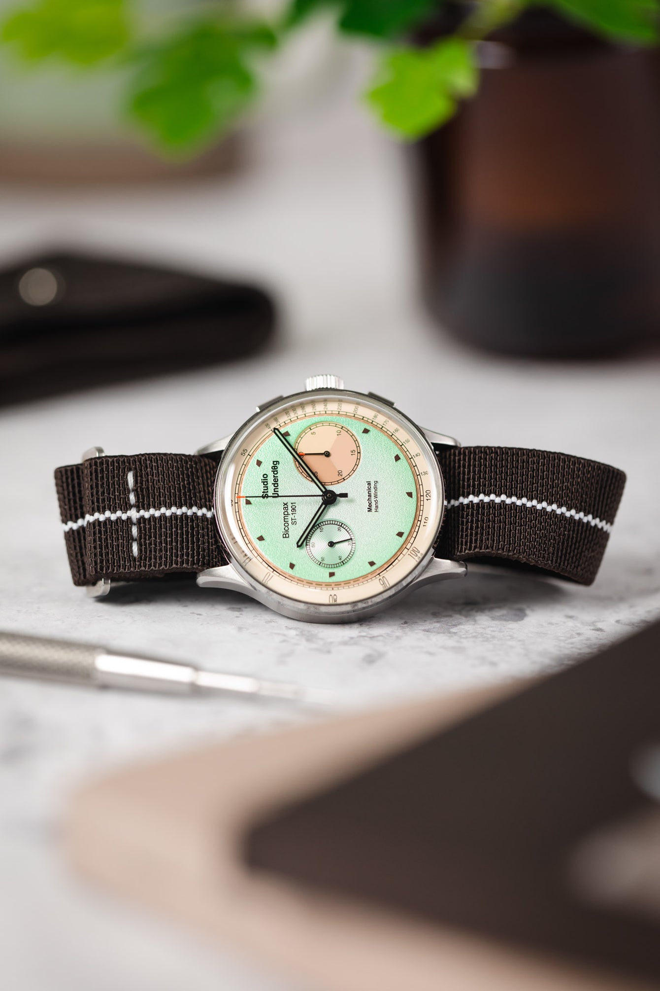 Erika's Originals HAVANA MN™ Strap with WHITE Centerline - BRUSHED Hardware