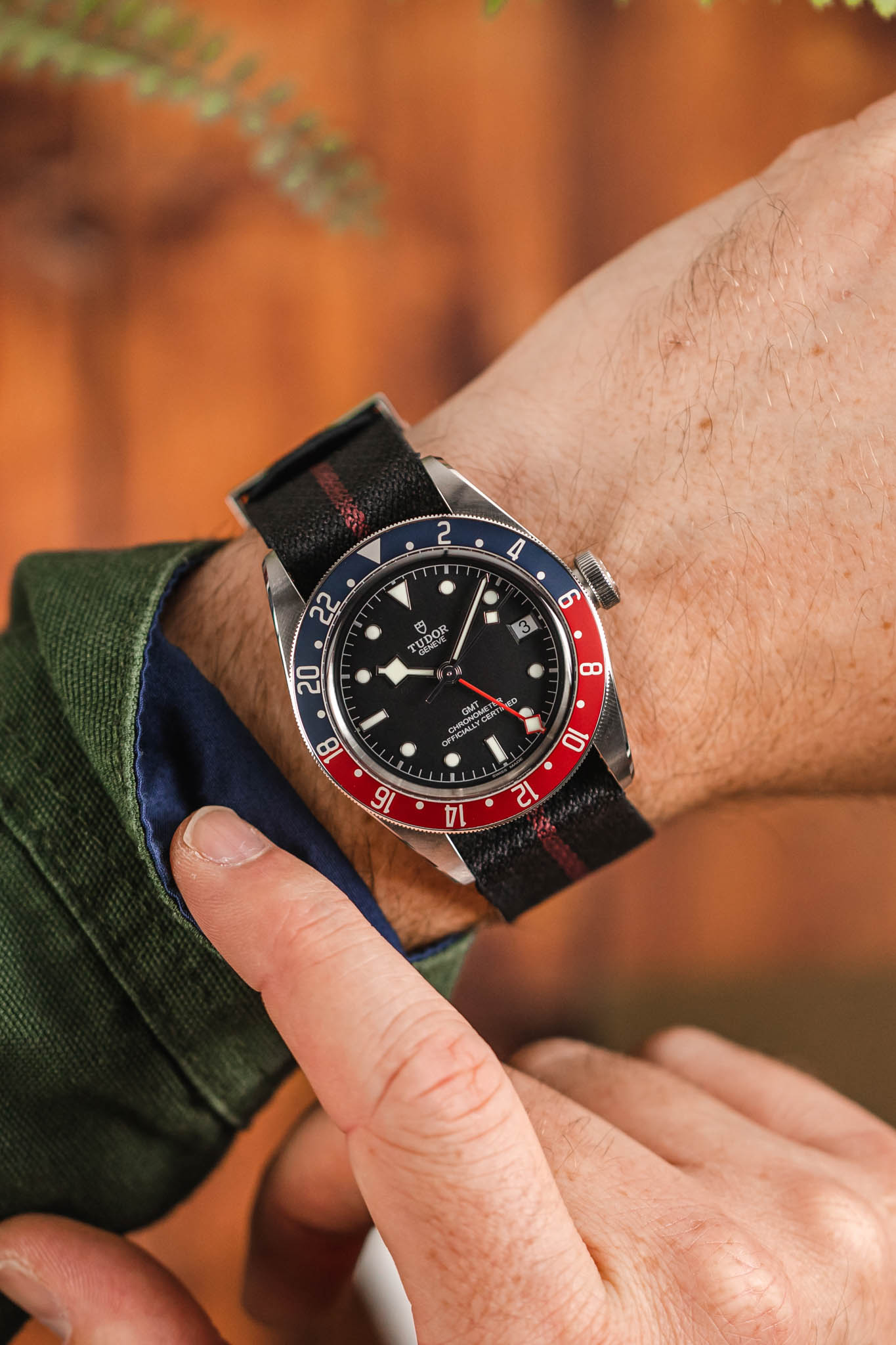 Black bay tudor gmt sale