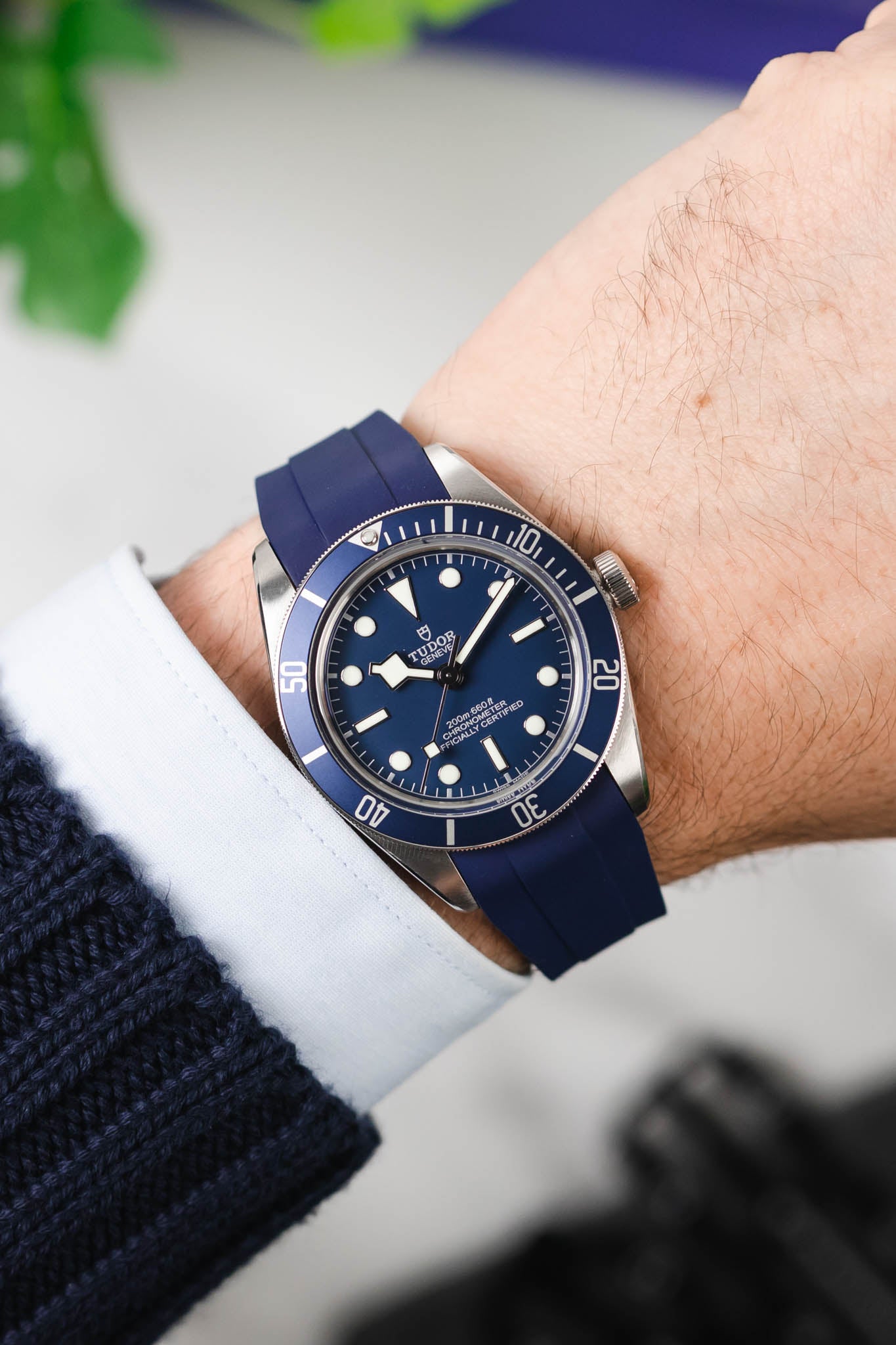 Tudor Black Bay Blue Strap Vanguard WatchObsession Watch